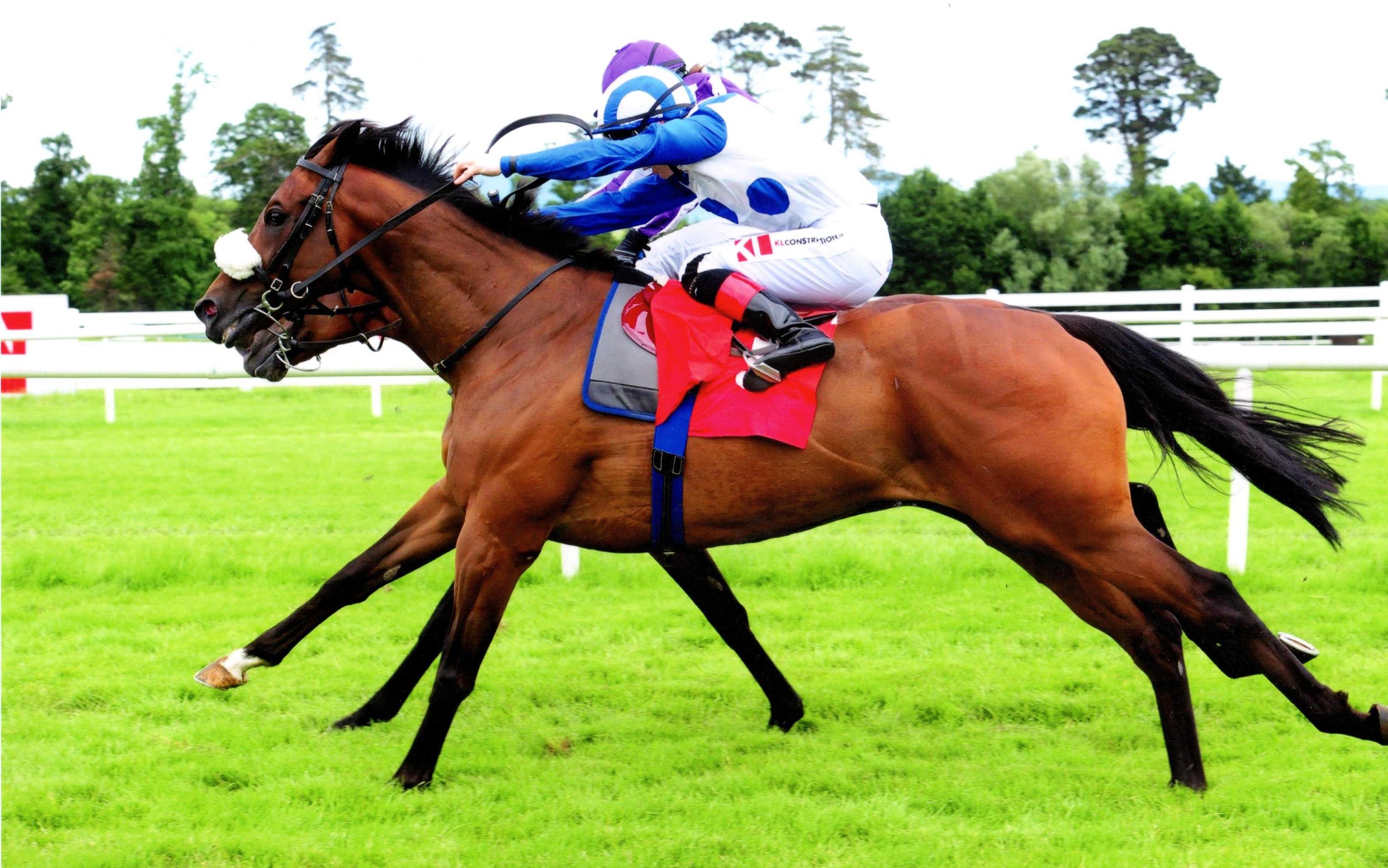 TENNESSEE WILDCAT notches up another victory at Gowran 18th June 2017